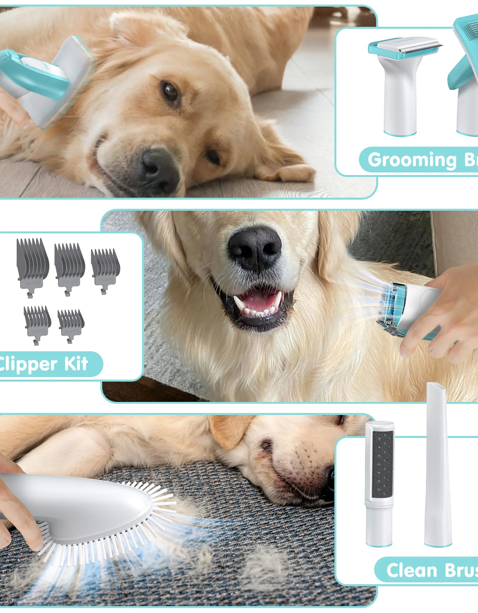 Professional 6-In-1 Dog Grooming Vacuum Kit - 11000PA High Suction & 1.5L Large Capacity | 99% Hair Removal with Complete Grooming Tools | High Suction Pet Vacuum for Professional Grooming