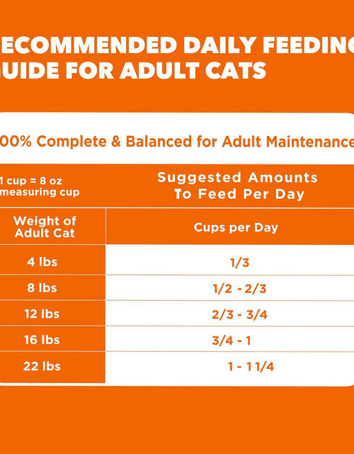 Load image into Gallery viewer, PROACTIVE HEALTH Adult Healthy Dry Cat Food with Chicken Cat Kibble, 7 Lb. Bag
