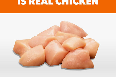 PROACTIVE HEALTH Adult Healthy Dry Cat Food with Chicken Cat Kibble, 7 Lb. Bag