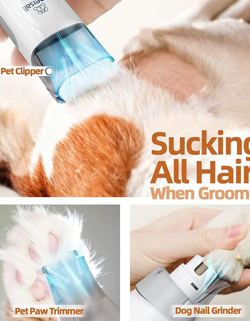 Load image into Gallery viewer, 7 in 1 Dog Grooming Kit, Low Noise Pet Grooming Vacuum with 1.5 L Dust Cup, Dog Vacuum for Shedding Grooming, with 7 Professional Grooming Tools for Dogs Cats Pet Hair &amp; Home Cleaning, Gray
