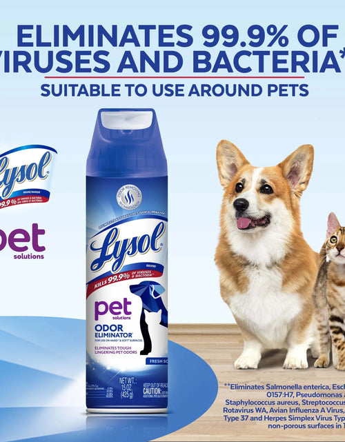 Load image into Gallery viewer, ® Pet Odor Eliminator Spray, Sanitizing and Disinfecting Spray for Pet Odors, 15Oz
